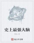 强大脑最强大脑