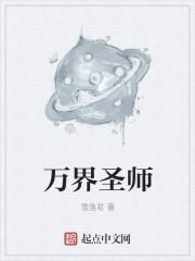 我!万界圣师!