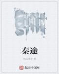 秦途梦转第十一集