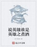 说英雄谁是英雄所有人物
