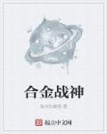 合金战纪