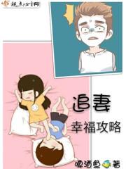 宠妻的意思