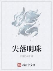 失落的明珠全集观看