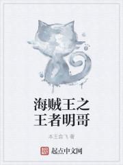 海贼王明哥baby5