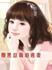 腹黑总裁追妻路免费阅读