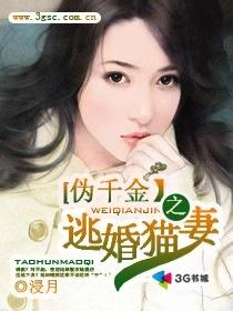 伪千金攻略三少