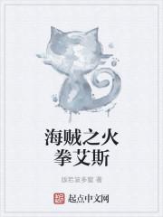 火拳艾斯海贼王