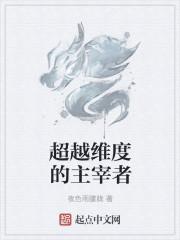 超越维度mod