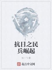抗日之我是民兵队长
