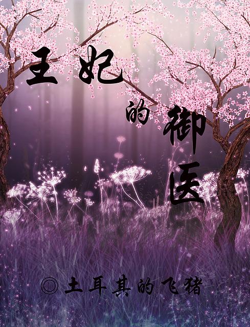 王妃御医天下