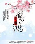 惊鸿全文免费阅读无弹窗 笔趣阁
