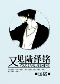 又见陆泽铭by