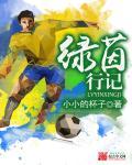 绿茵奇迹最新