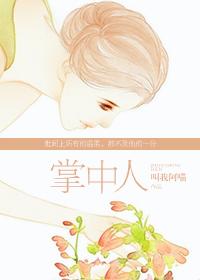 八轮仪