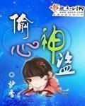 偷心盗贼完整