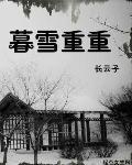 暮雪重重 大结局