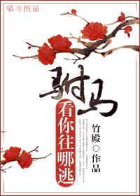 驸马往哪儿跑gl免费阅读