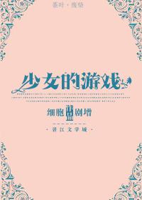 一款叫什么少女的游戏