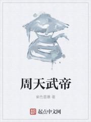 周天武公司