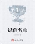 绿茵之巅球员