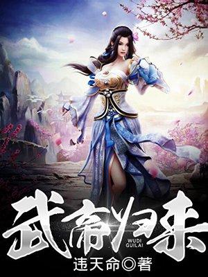 武帝归来境界划分图