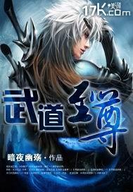 武道至尊武侠大明星
