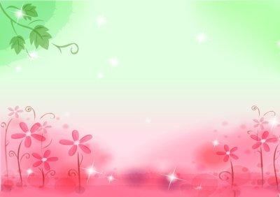 营养师入门课视频
