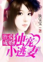 替爱成婚:独宠小逃妻